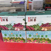 【印象沈农自有基地】红瑶蜜薯5斤装中薯 单个 2～8 两 粉糯香甜 自然糖化 烤箱烤着嘎嘎好吃 商品缩略图0