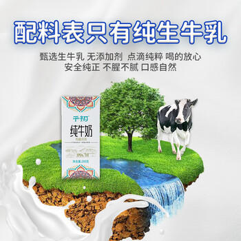 千初纯牛奶 全脂牛奶生牛乳学生成人儿童营养早餐奶200g*12盒整箱礼盒 商品图2