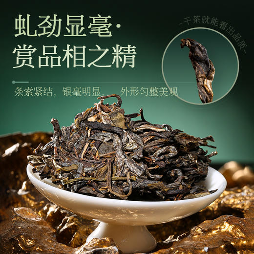 陈升号 2025年典藏金章200g（生茶） 商品图3