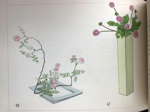 1933年 日本近代插花图集 60幅彩色手绘插图 线装本32开 商品图8