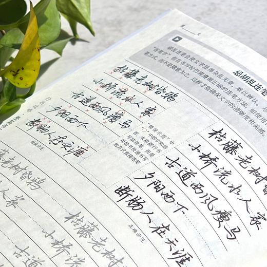 行书攻略 整篇书写与一字多写+常用3000字 实战应用2册 行书技法实战教程行书字帖临摹练习 商品图4