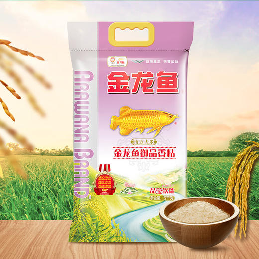 【金龙鱼】御品香粘5KG 商品图2