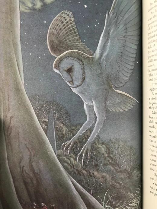 梅沙姆小姐的安息 配彩色插图 弗里欧书社函装本 商品图7