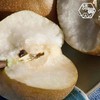【云南麦地湾梨】酥脆爽口 酸甜可口 肉厚多汁 个头均匀 适合熬汤 榨汁 2种规格任选 商品缩略图1