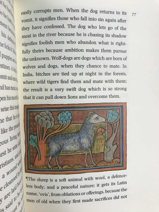 动物寓言集 近百幅彩色插图 精装16开带书匣 商品图11