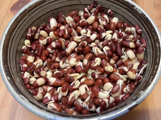 【2025年新豆】生态赤小豆  500g 商品图1