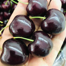 Santina JJJ车厘子 🍒甜！脆！多汁！光泽度高果子脆硬，超级棒红车。