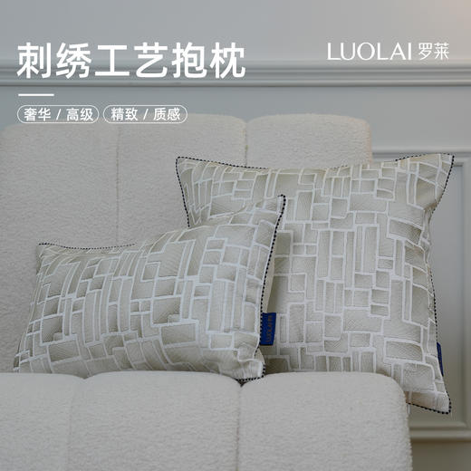 罗莱软装 建瓴 抱枕  商品图0