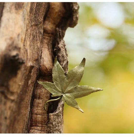 【Michael Michaud】枫叶镀金胸针 商品图2