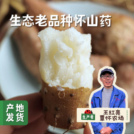 生态老品种怀山药 5斤装 | 合作农友生产，产自河南焦作，生产者：王红亮等人 *【公平贸易农人定价】 商品图0