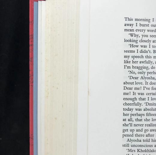 陀思妥耶夫斯基《卡拉马佐夫兄弟》 弗里欧书社函装本 商品图8