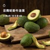 企鹅市集|云南孟连哈斯牛油果大果4枚/8枚装 国产新鲜 绵密丝滑 商品缩略图0