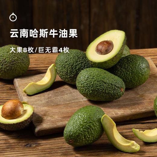 企鹅市集|云南孟连哈斯牛油果大果4枚/8枚装 国产新鲜 绵密丝滑 商品图0