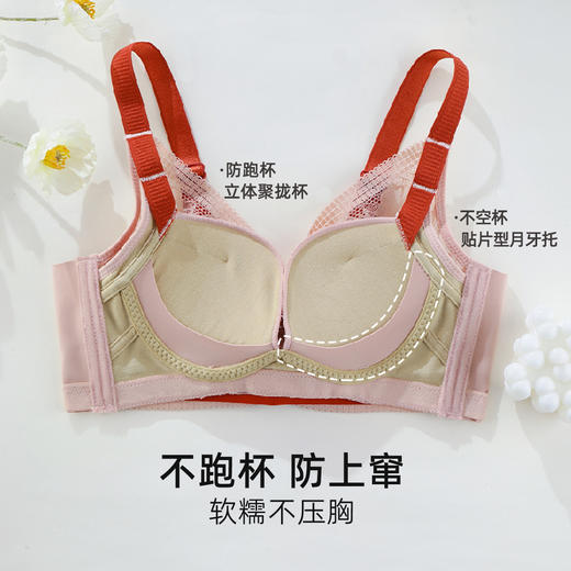 雅黛俪女士文胸甜美性感蕾丝聚拢显大内衣U型美背胸罩 商品图2