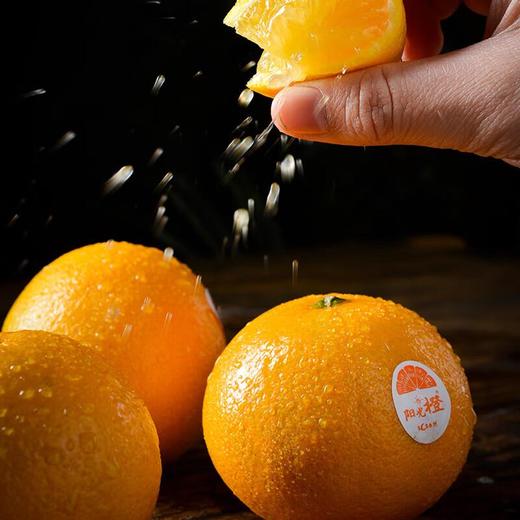 放心阳光橙 安全安心可追溯 伊藤自有品牌 商品图1