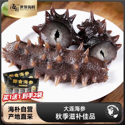 【买一袋送一袋】正宗大连即食海参500g/袋8-10头 商品图0