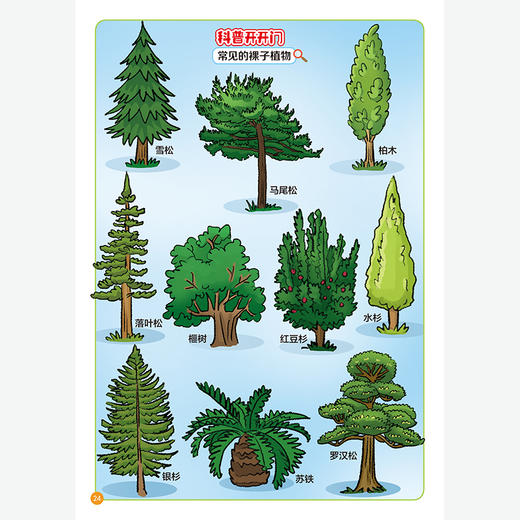 给小学生的趣味生物（共8册） 商品图5