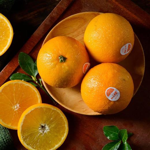 放心阳光橙 安全安心可追溯 伊藤自有品牌 商品图0
