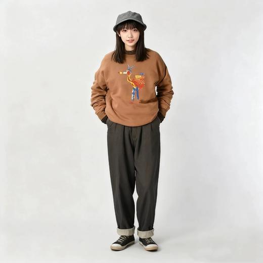 D110796日系25秋冬季新品火烈鸟拼接时尚加绒显瘦百搭卫衣 商品图4