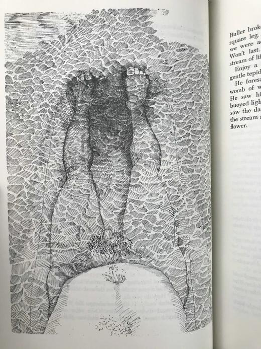 乔伊斯《尤利西斯》（1976）配插图 富兰克林图书馆豪华皮装本 商品图11