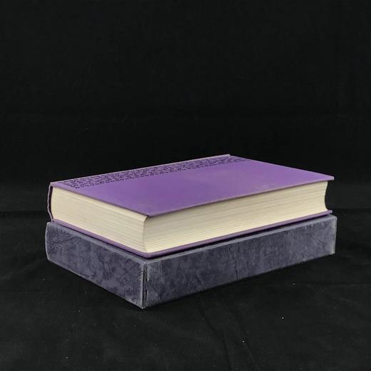 曼佐尼《约婚夫妇》 16幅插图 精装18开带书匣 商品图1