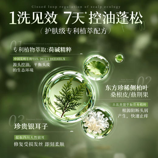 儒意控油蓬松香氛洗发水500ml  氨基酸洗发水控油蓬松去屑止痒洗头膏露持久留香男女士|儒意官方商城 商品图2