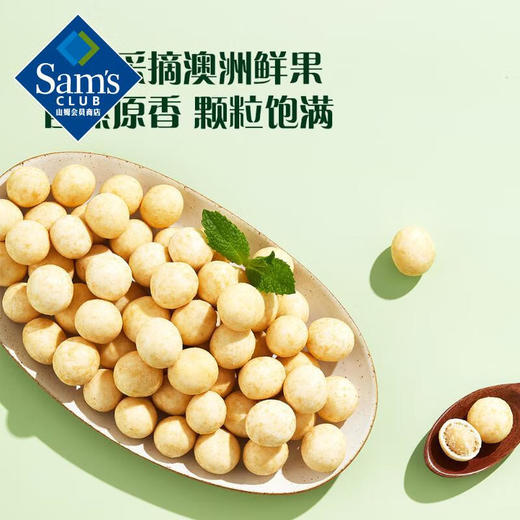 【山姆限定】芥末味 夏威夷果仁 36g/袋 商品图4