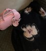 品牌订单CAI正品剪标发桃花绵羊毛混纺开衫外套 商品缩略图11