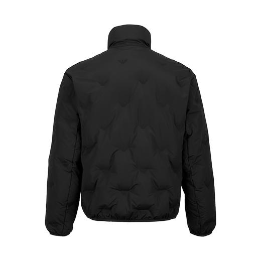 【超惠秒】Emporio Armani 男士商务休闲 飞鹰刺绣羽绒间隔款 白鸭绒羽绒服外套12499 商品图3