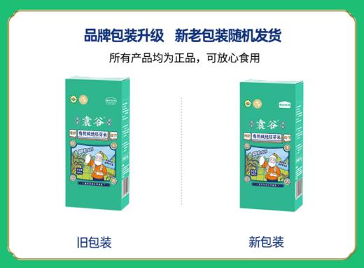 袁谷农场袁谷碱地有机胚芽米营养辅食粥优质大米500g小包装当季新米 商品图6