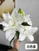 精品花材白色星百合 商品缩略图0
