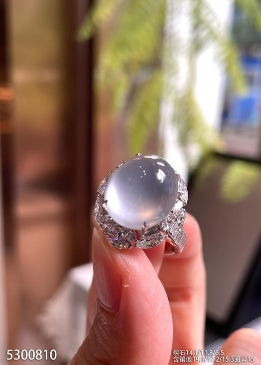 5300810，蛋面戒指。具体价格微信咨询 商品图0