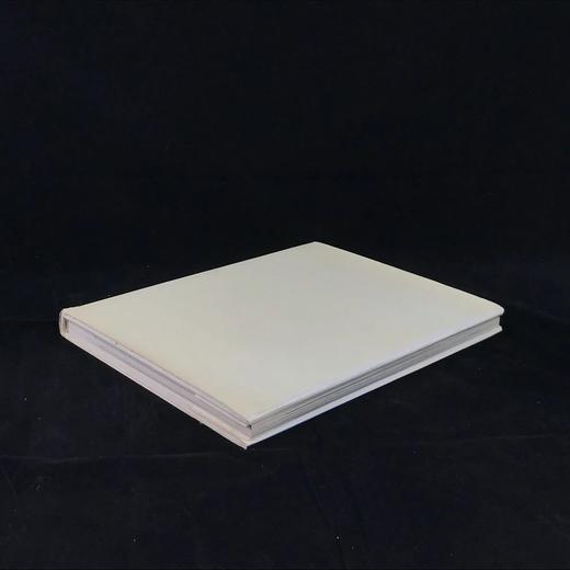 中国艺术品与手工艺品 222幅插图 精装8开带书匣 商品图3