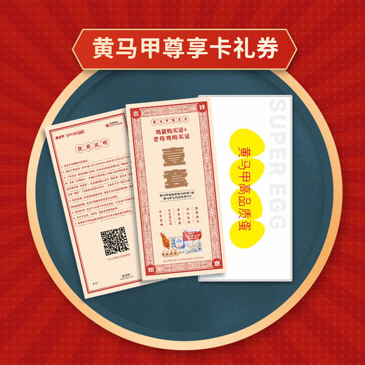 黄马甲尊享卡（套餐二 6张尊享卡） 商品图3