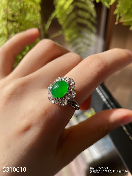 5310610、蛋面戒指。具体价格微信咨询 商品图3