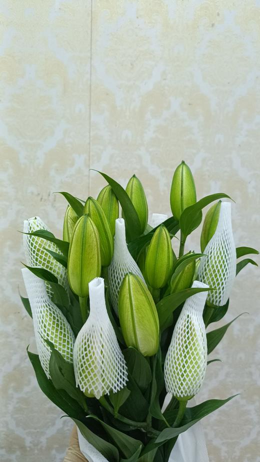 精品花材白色星百合 商品图2