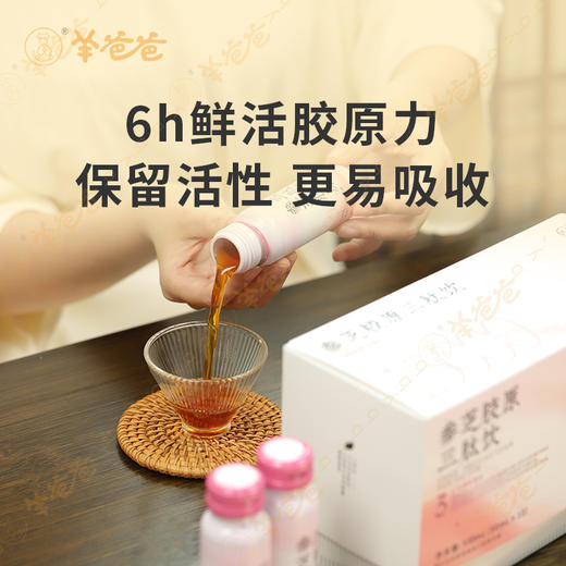 新品 【参芝胶原三肽饮】几养|药食同源草本+现代胶原创新结合 胶原满满 让年龄成为秘密 商品图2