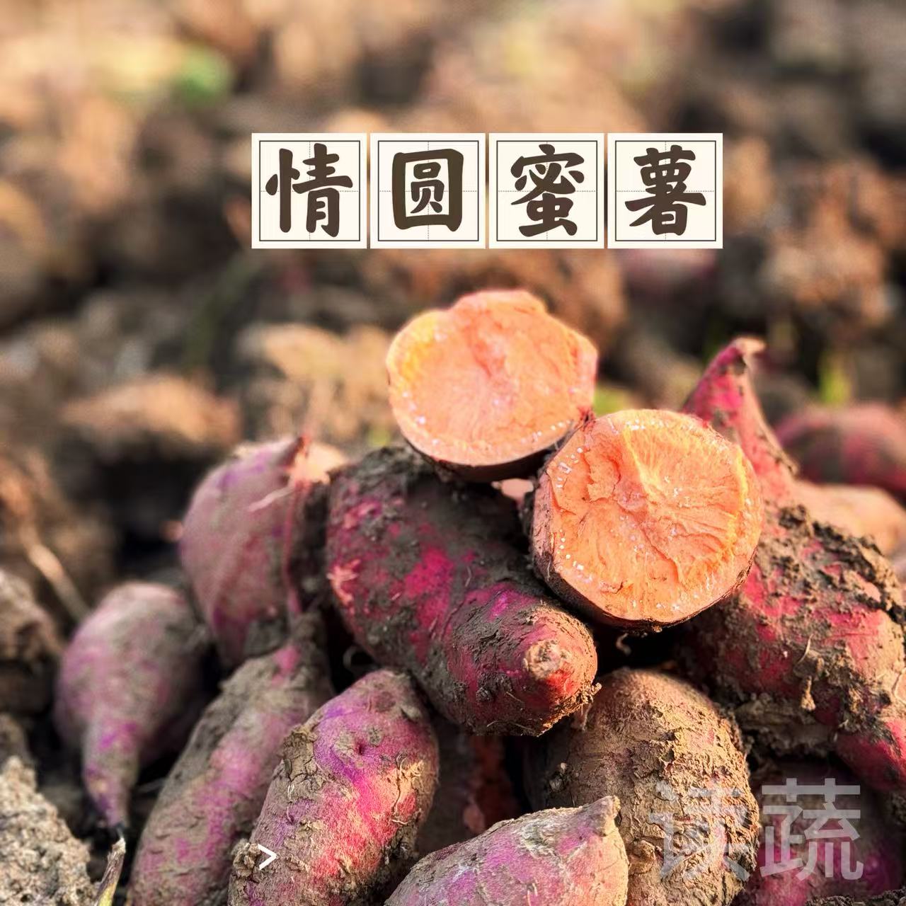 情圆蜜薯|生态种植|农场自产