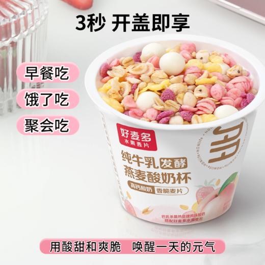 【麦麦SY】特纯酸奶杯一箱6杯*165g | 生牛乳＞90%真酸奶 商品图5