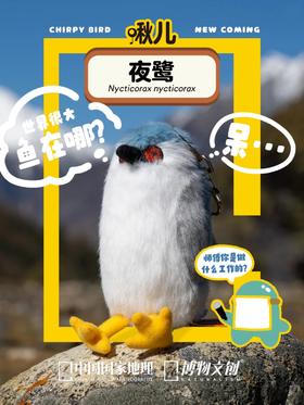 夜师傅你是做什么工作的？