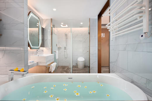 一区甄选豪华房 商品图4