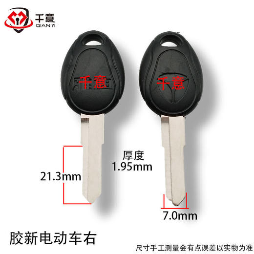 胶新电动车右 商品图0