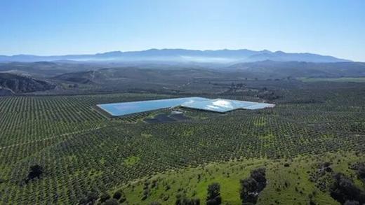 橄榄油届爱马仕2025年醉早采收的第一滴“处女油”！ 商品图2