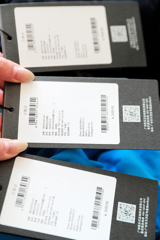 蓬松度700+，登山滑雪羽绒服。充绒量270克+の户外鹅绒服C110860 商品图1