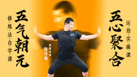 五气朝元（自学课）+五心聚合（实操课）