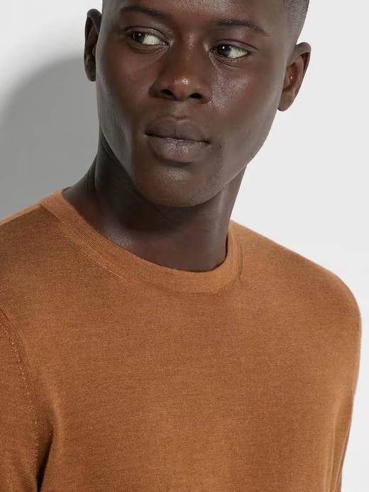 ZEGNA 杰尼亚 针织衫男  E8J00-110-N95 . 商品图1