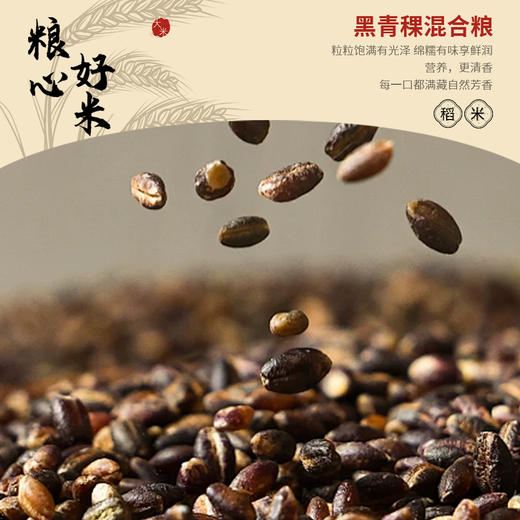 黑青稞混合粮 商品图0