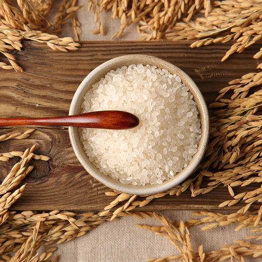 当季新米谷怡斋生态小町5kg东北大米 商品图3