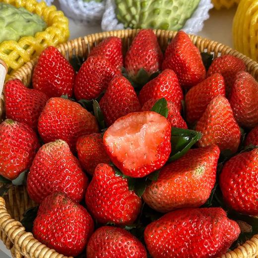 头茬云南牛奶草莓 商品图2