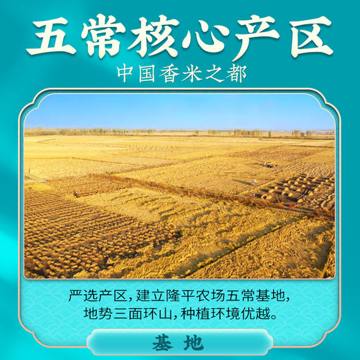 袁谷农场隆平芯米五常凝玉香5kg东北五常大米粳米共10斤真空装25年新米 商品图3
